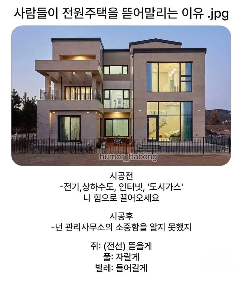 단독주택 살면 안되는 이유.jpg