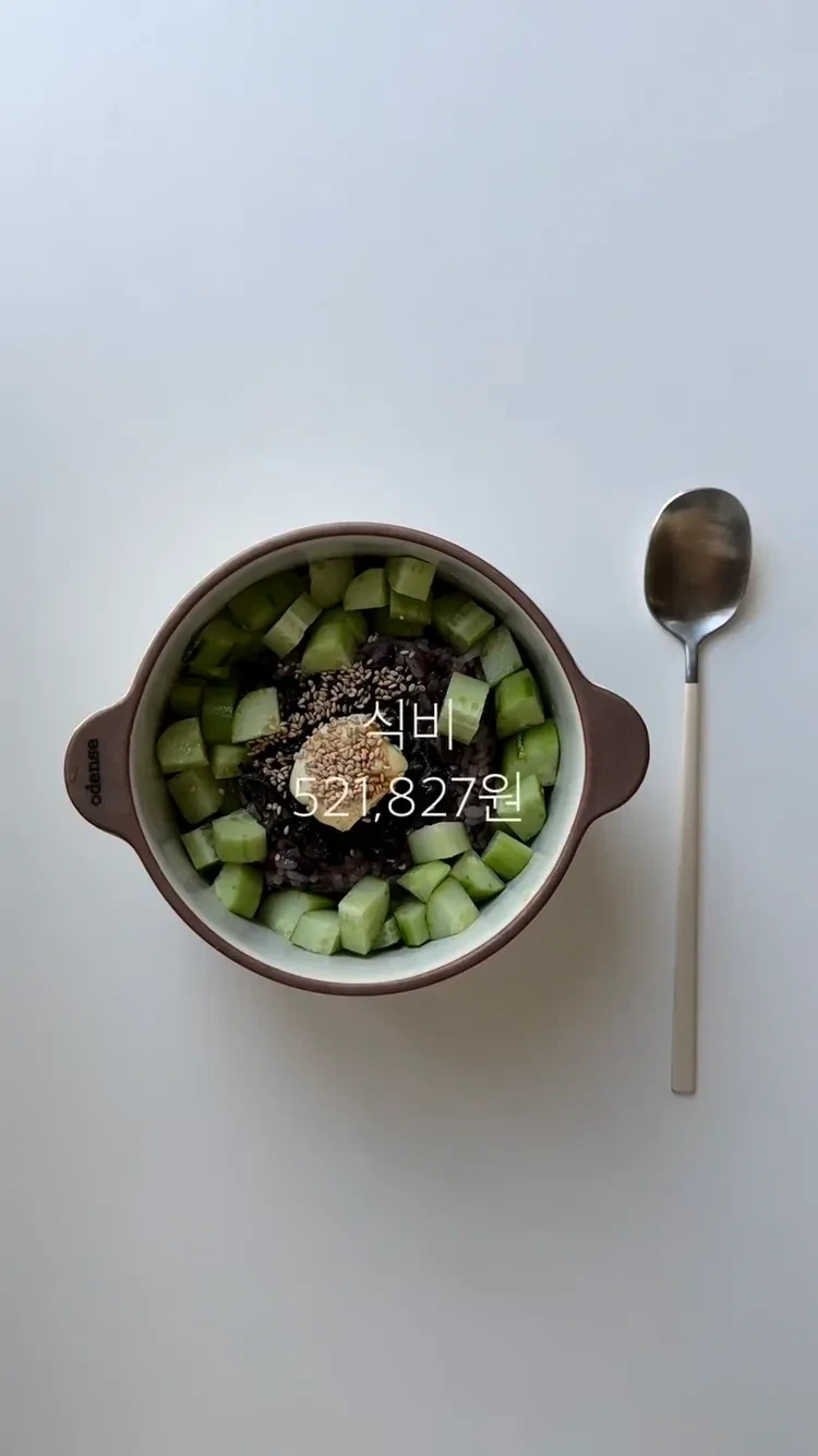 8년 차 은행원 한 달 생활비-4