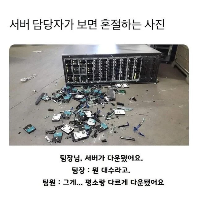 서버 담당자가 보면 혼절하는 사진