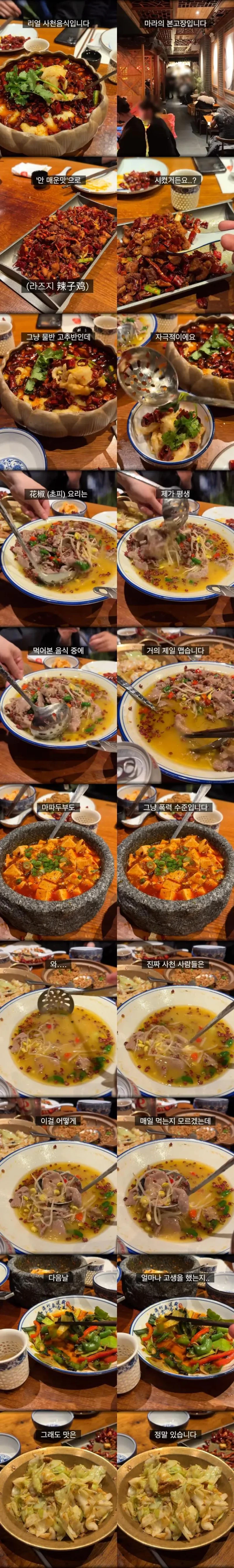 매운맛의 수준이 다르다는 사천 요리