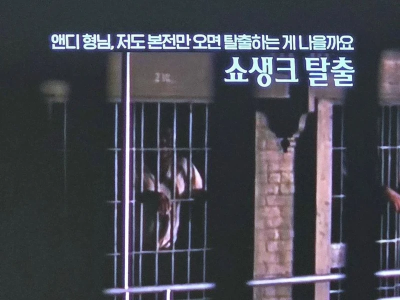 OCN도 물렸나-2