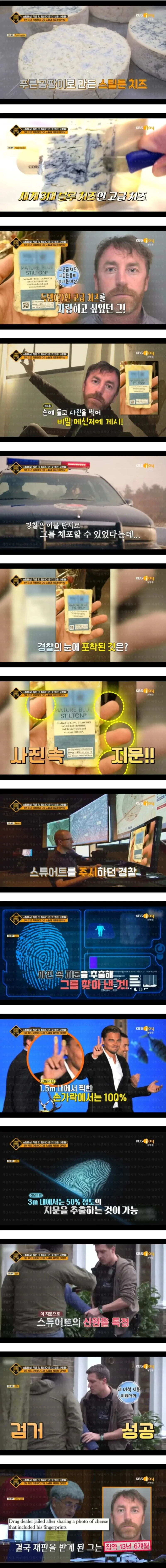 치즈 사진 올렸다가 체포된 남성-2