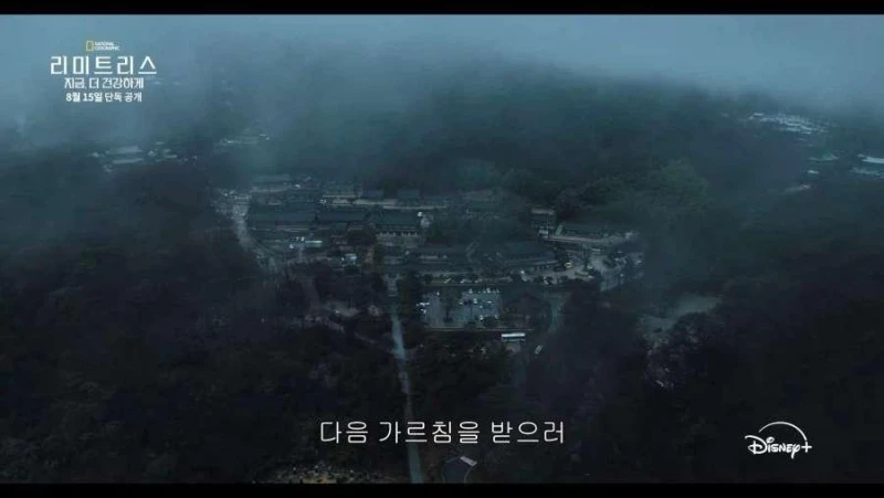 디즈니가 생각하는 한국 불교의 모습