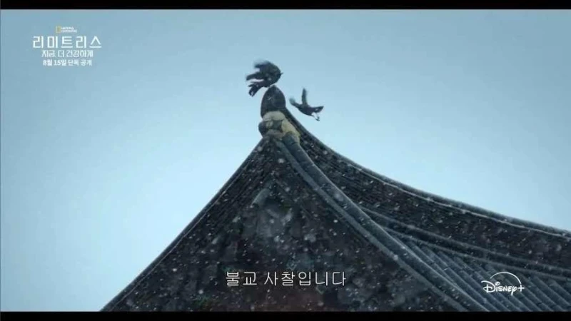 디즈니가 생각하는 한국 불교의 모습-4