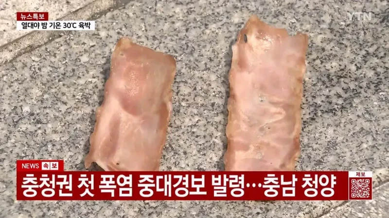 요즘 계란값이 비싸다는 증거-2