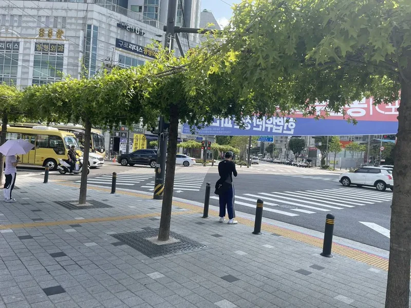 한국의 새로운 그늘막 근황