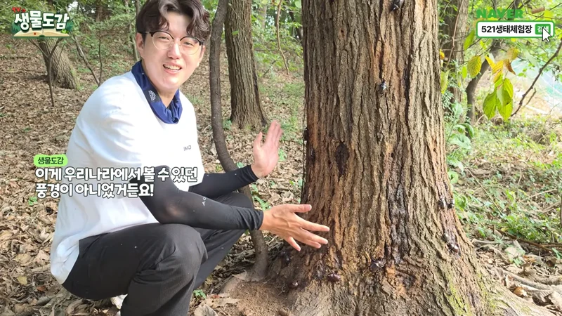 최근 전국적으로 갑자기 대거 출몰하고 있는 곤충-14