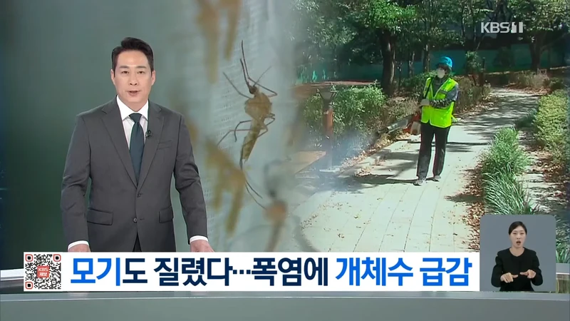 모기도 질렸다...폭염에 개체수 급감