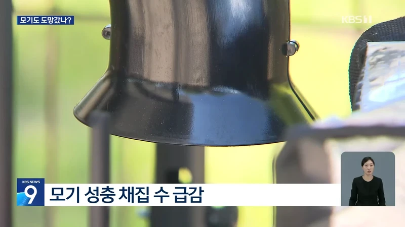 모기도 질렸다...폭염에 개체수 급감-3