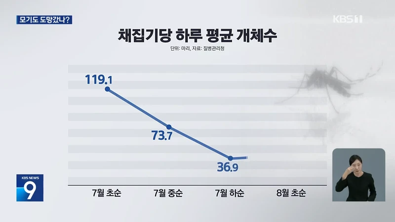 모기도 질렸다...폭염에 개체수 급감-4