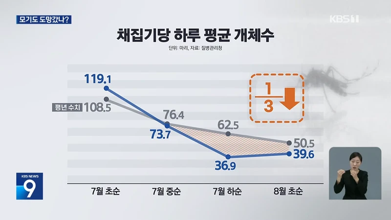 모기도 질렸다...폭염에 개체수 급감-5