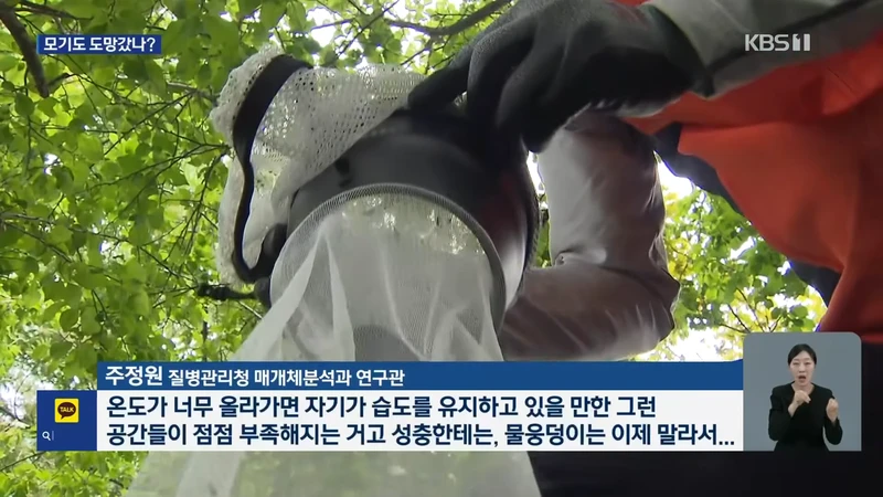 모기도 질렸다...폭염에 개체수 급감-8