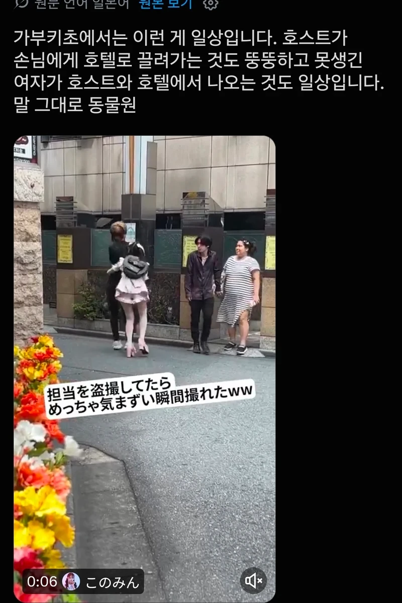 일본 최대 유흥가의 일상