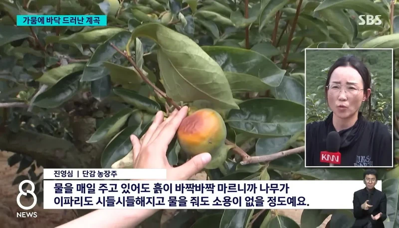 심각한 경남 지방 가뭄-8