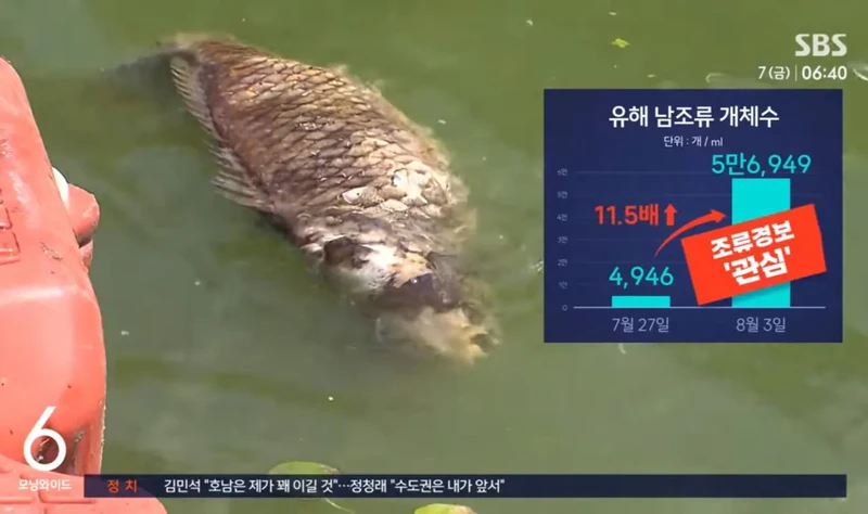 심각한 경남 지방 가뭄-13