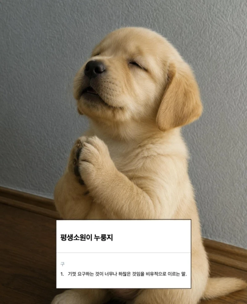 귀여운 한국 속담 모음