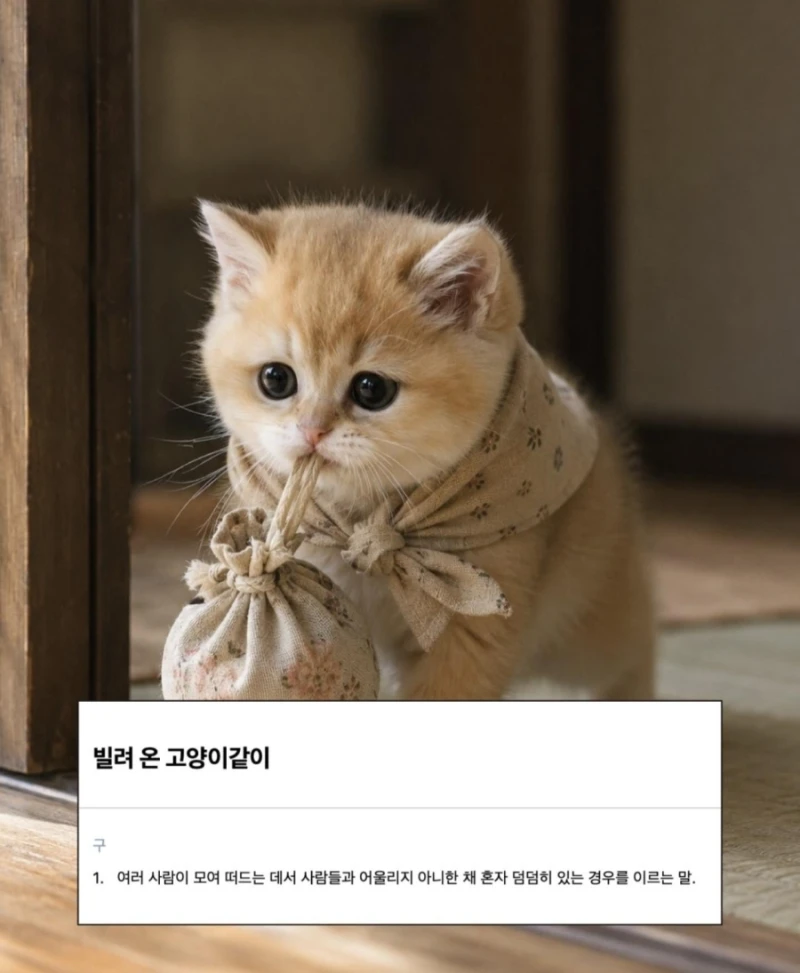 귀여운 한국 속담 모음-3