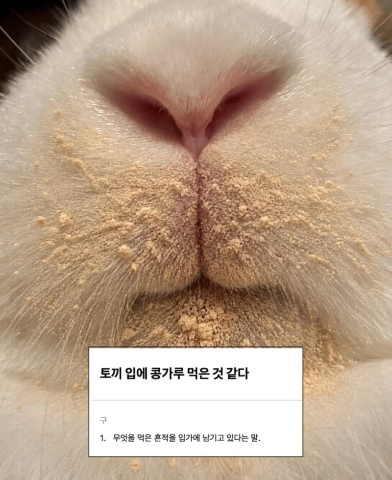 귀여운 한국 속담 모음-4