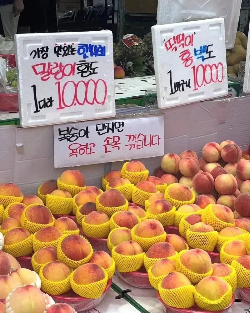 복숭아를 절대 만지면 안되는 이유