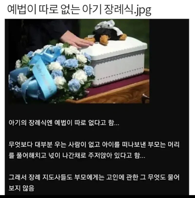 예법이 따로 없다는 아기장례식