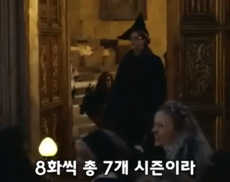 역대급으로 돈을 쏟아부은 해리포터 드라마 제작비-17