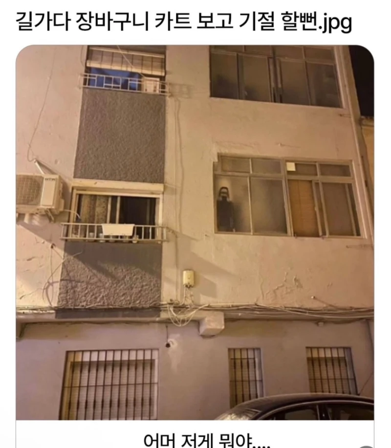 길가다 장바구니 카트 보고 기절 할뻔