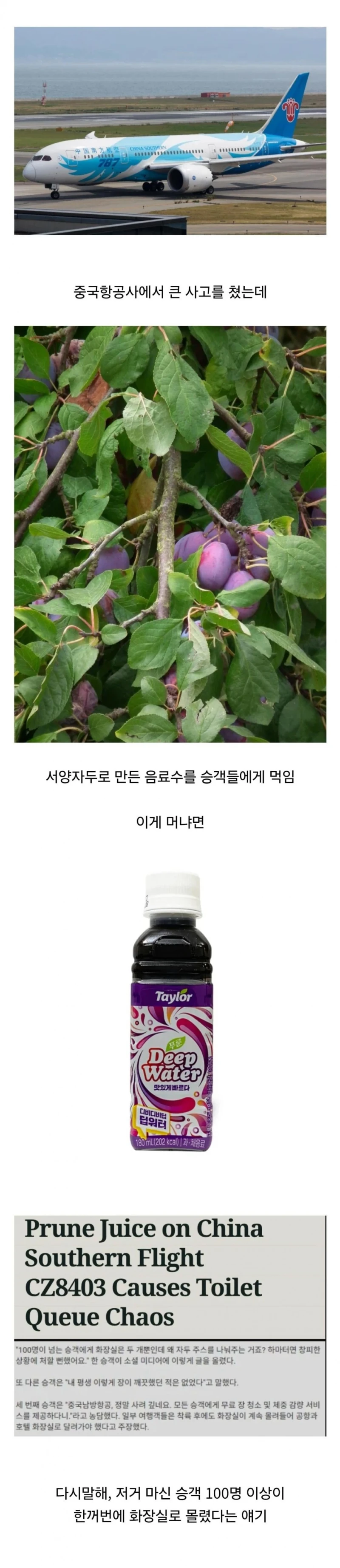 사건 터진 중국 항공사