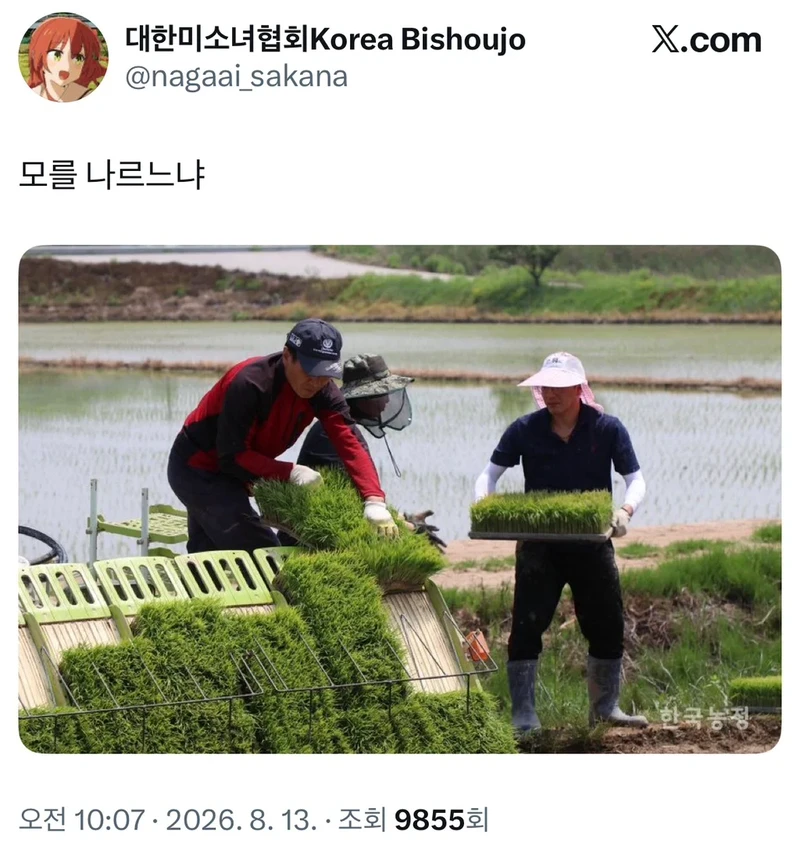 모를 나르느냐