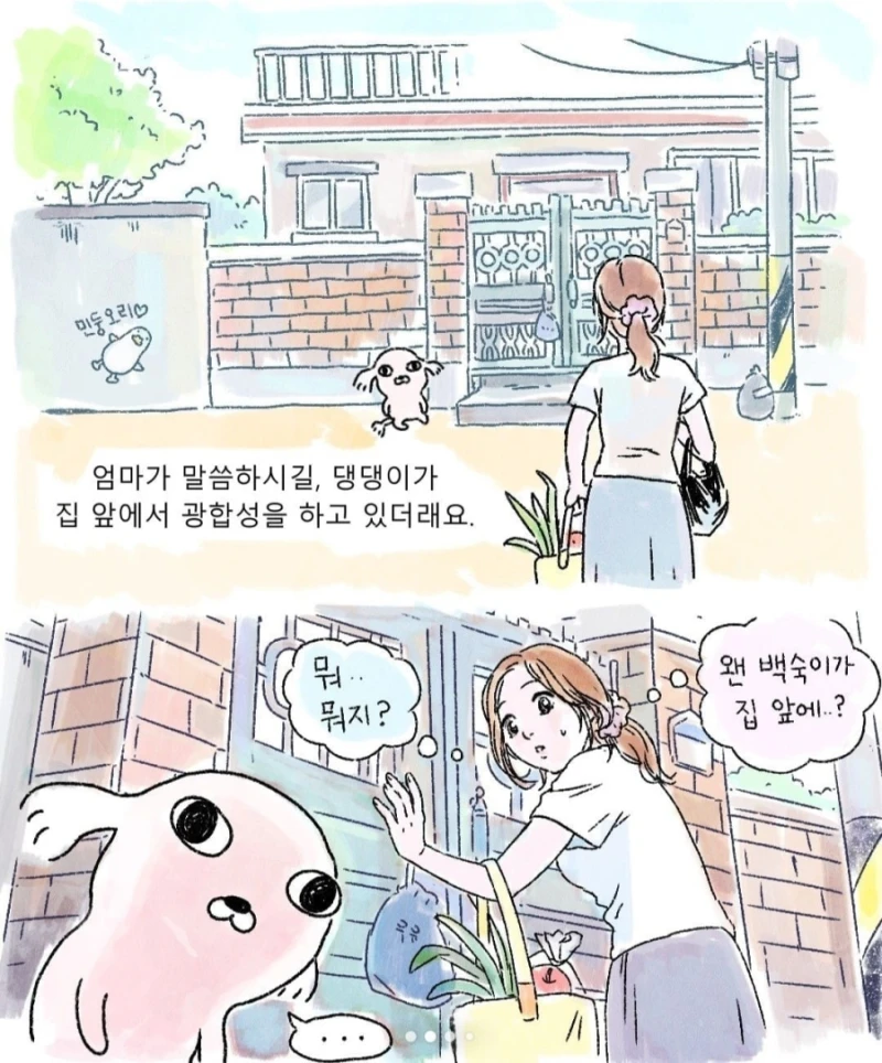 갑자기 찾아온 모르는 강아지-2