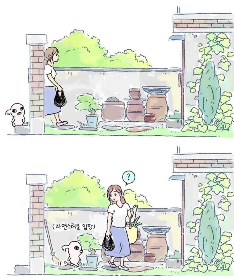 갑자기 찾아온 모르는 강아지-3