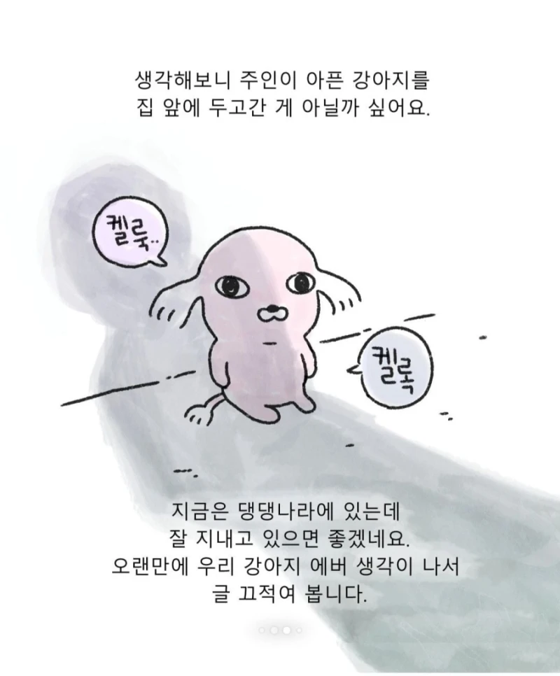 갑자기 찾아온 모르는 강아지-8