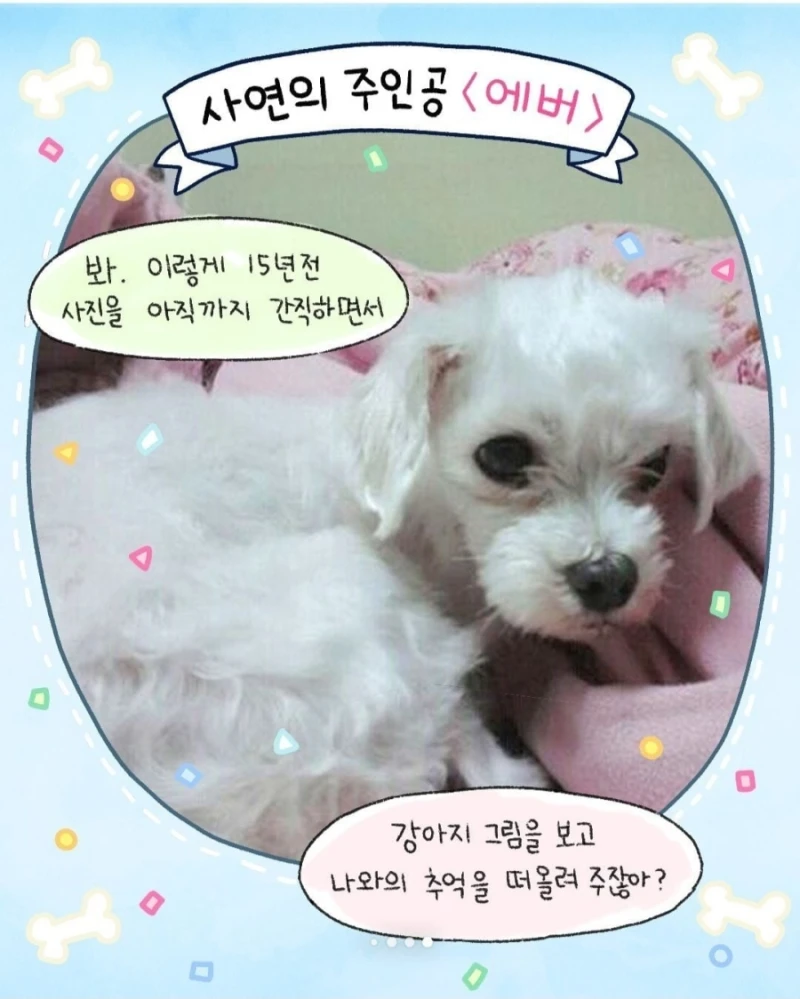 갑자기 찾아온 모르는 강아지-10