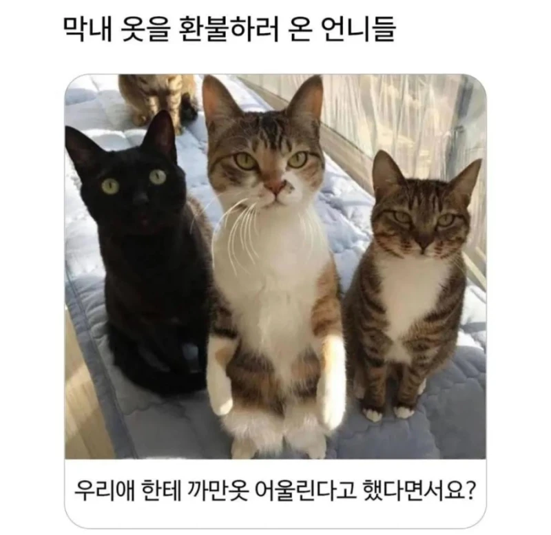 막내 옷을 환불하러 온 언니들