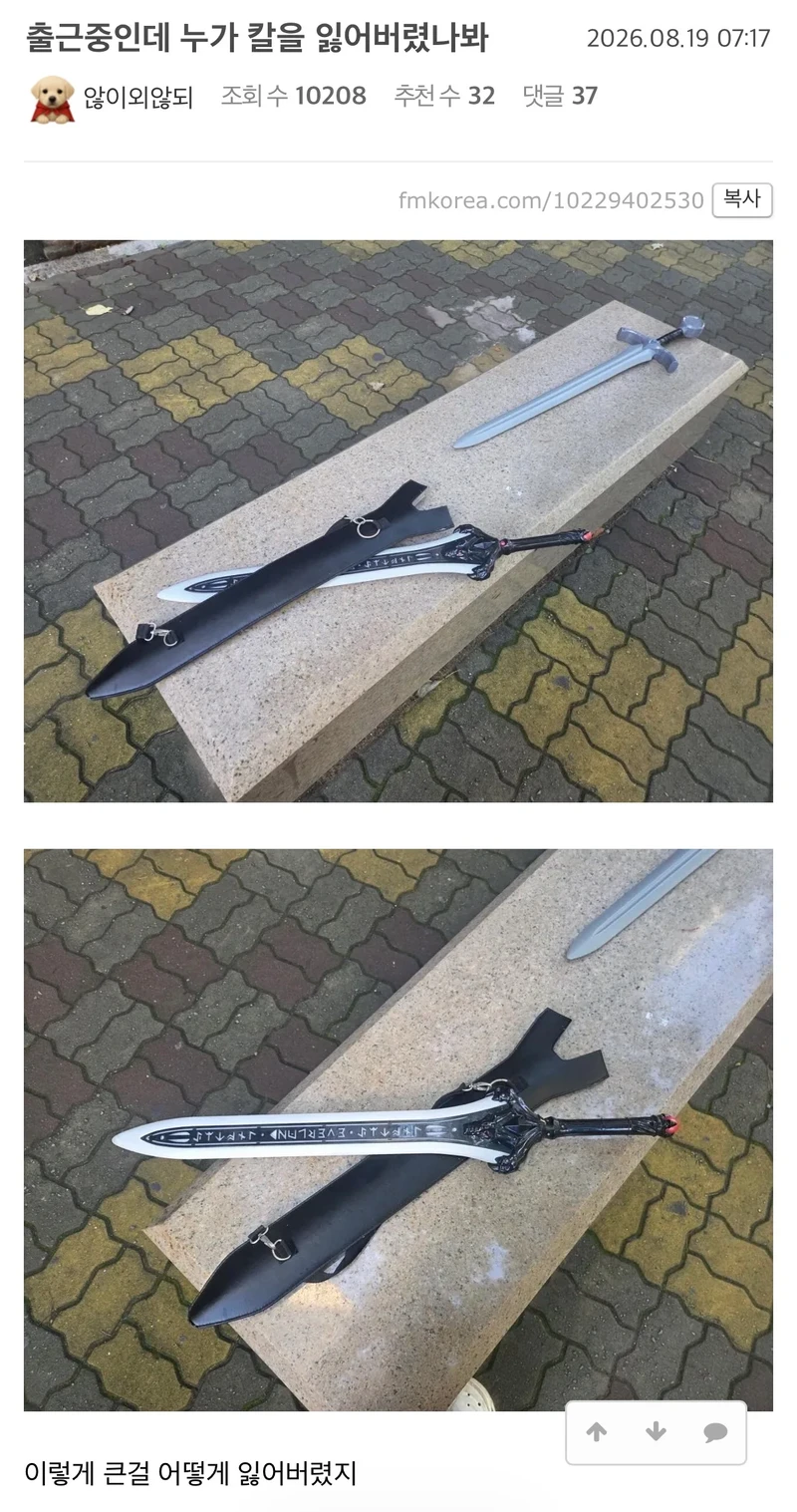 출근중인데 누가 칼을 잃어버렸나봐