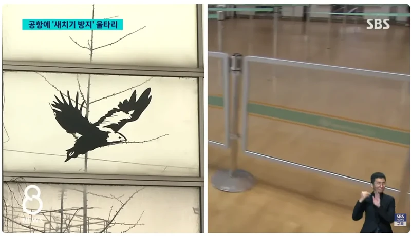 인천공항에 '새치기 방지' 울타리 설치 이후 근황-4