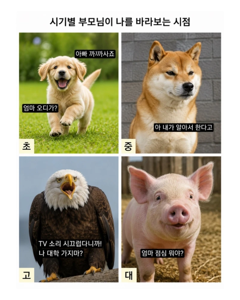시기별 부모님이 나를 바라보는 시점