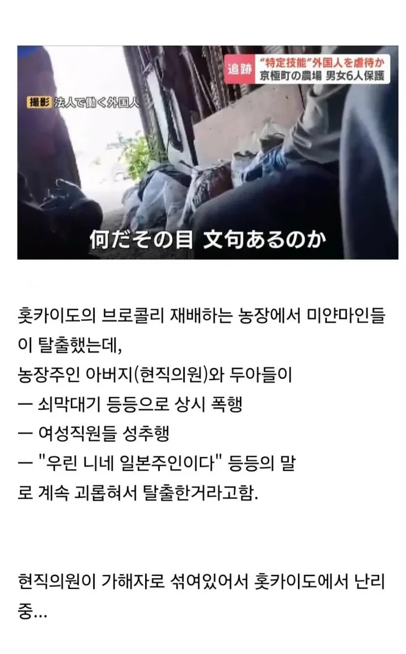 현직 의원이 외국인 노동자들을 폭행해서 난리난 일본