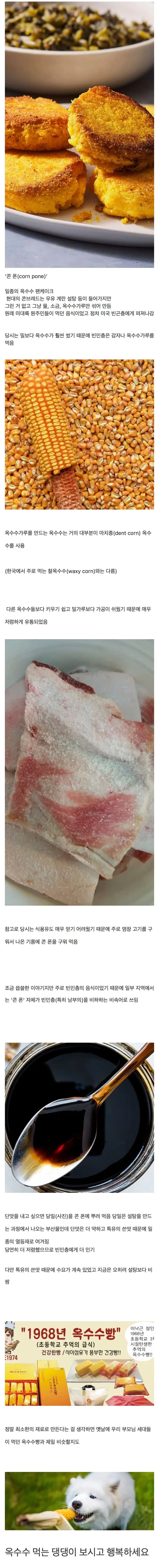 한때 가난의 상징이었던 음식 (미트로프 아님)