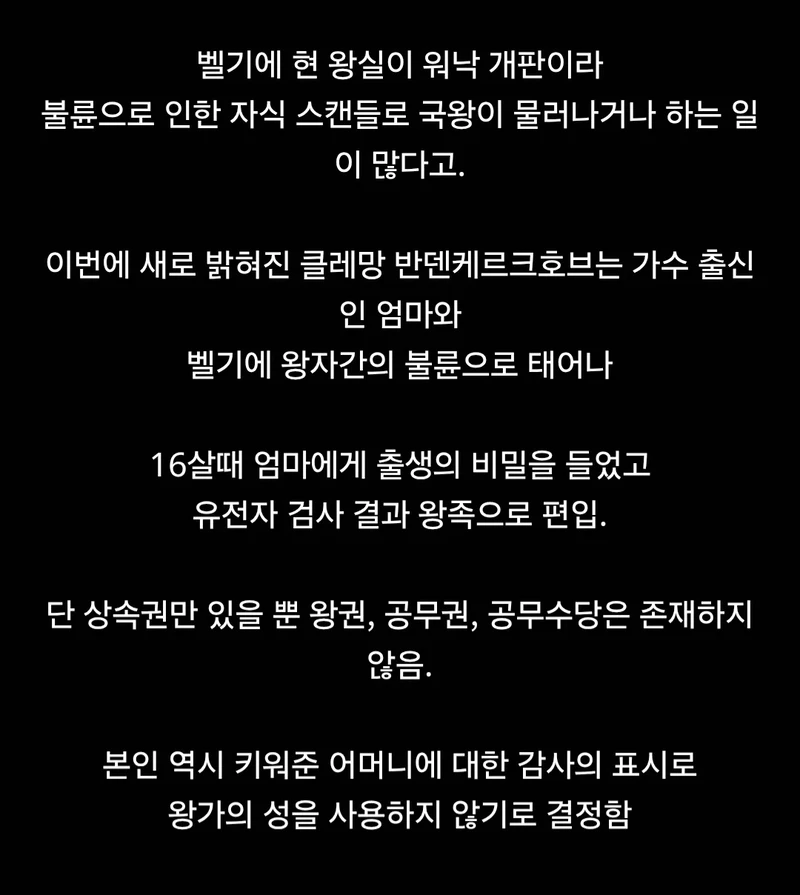 차팔이였던 내가 사실은 벨기에 왕족이었다-2