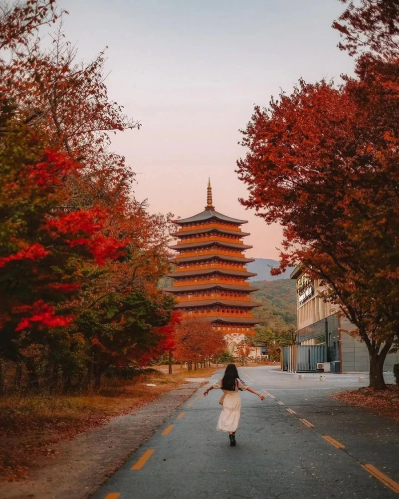 요즘 외국인들에게 새롭게 관광으로 뜨고 있다는 도시-6