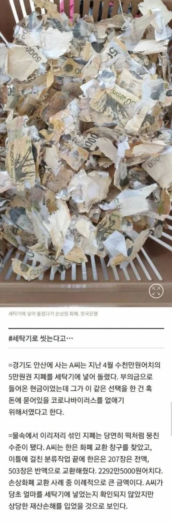 한국 은행이 알려주는 돈세탁 레전드