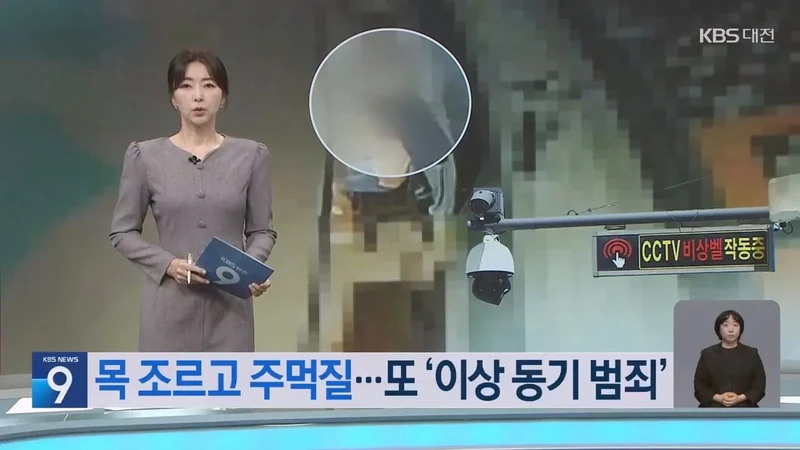 처음 본 사람을 뒤에서 목 조르고 도주한 20대