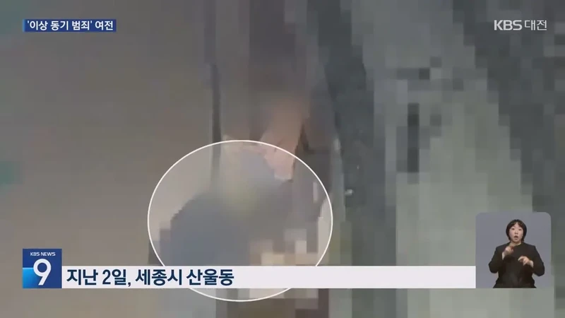 처음 본 사람을 뒤에서 목 조르고 도주한 20대-2