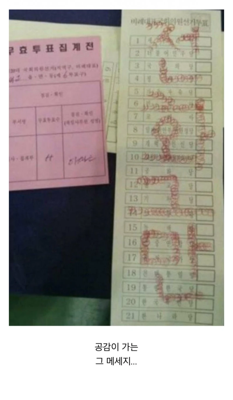 공감이 가는 무효표