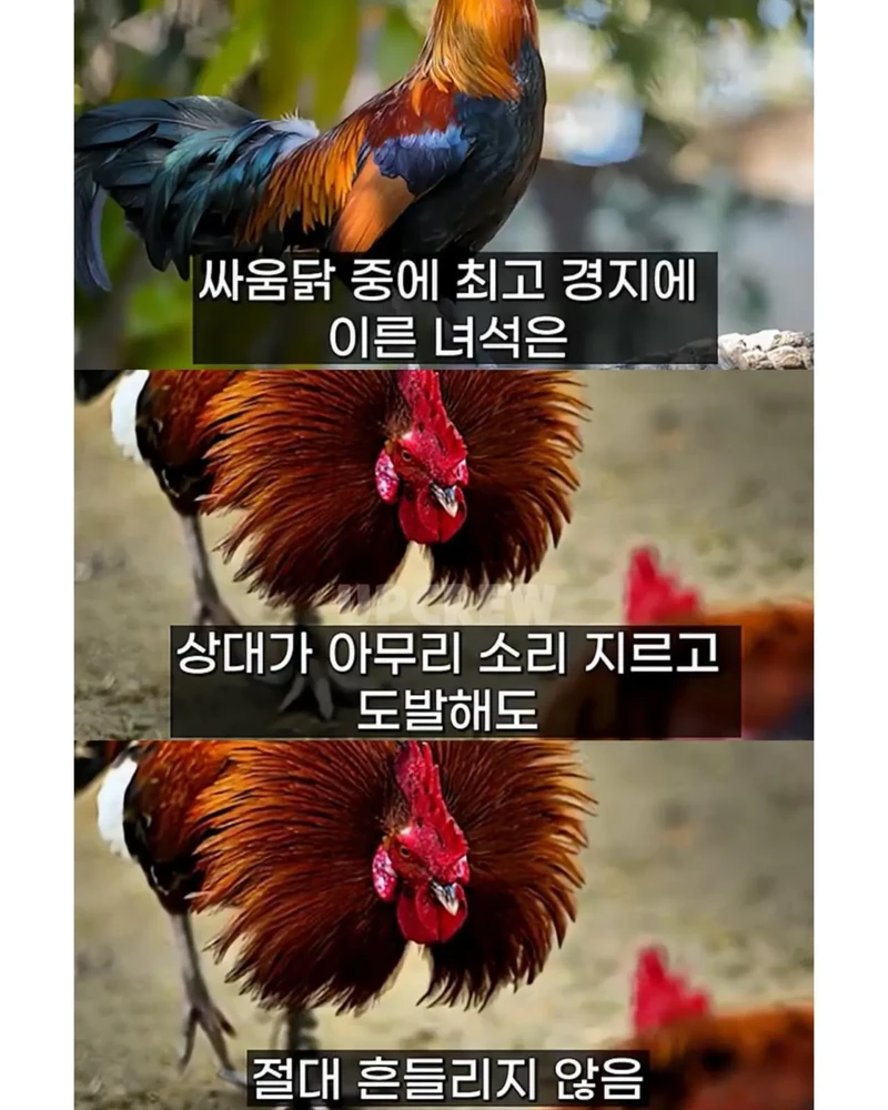 삼성 이재용이 평소에 조용한 진짜 이유-7