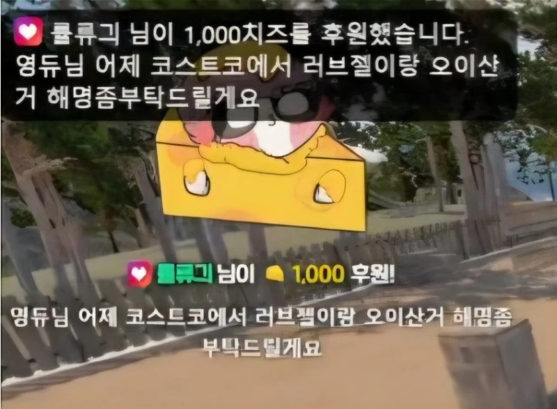 여캠들이 정신병 걸리는 이유