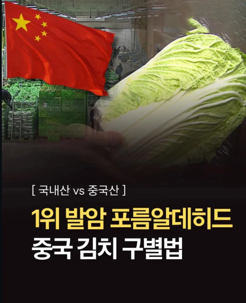 중국산 김치 구별법