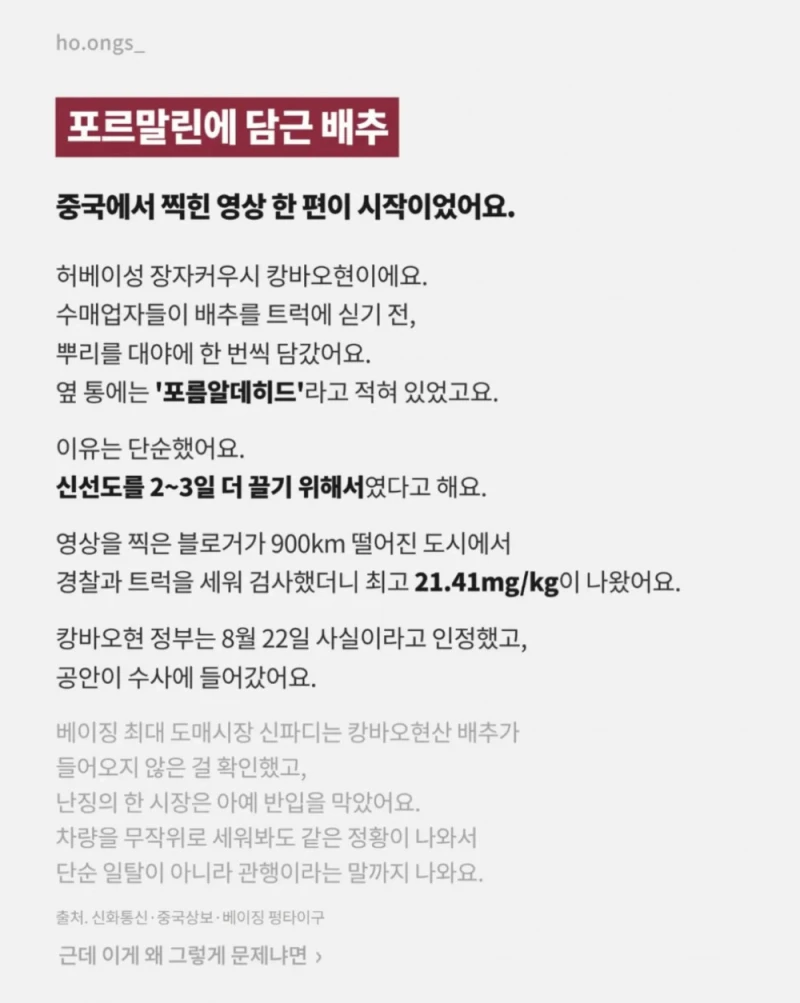 중국산 김치 구별법-2