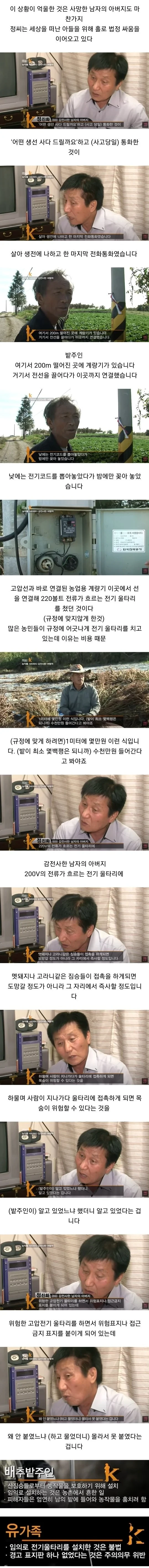 배추 서리로 인해 인생이 망가진 사람들-2
