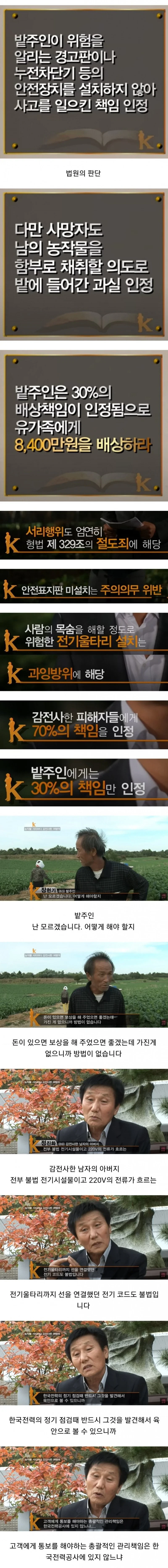 배추 서리로 인해 인생이 망가진 사람들-3